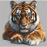 Animal Integration-DW 1796